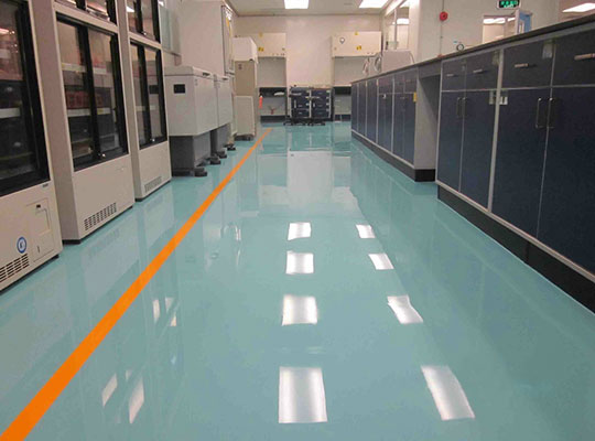 �������ƺ